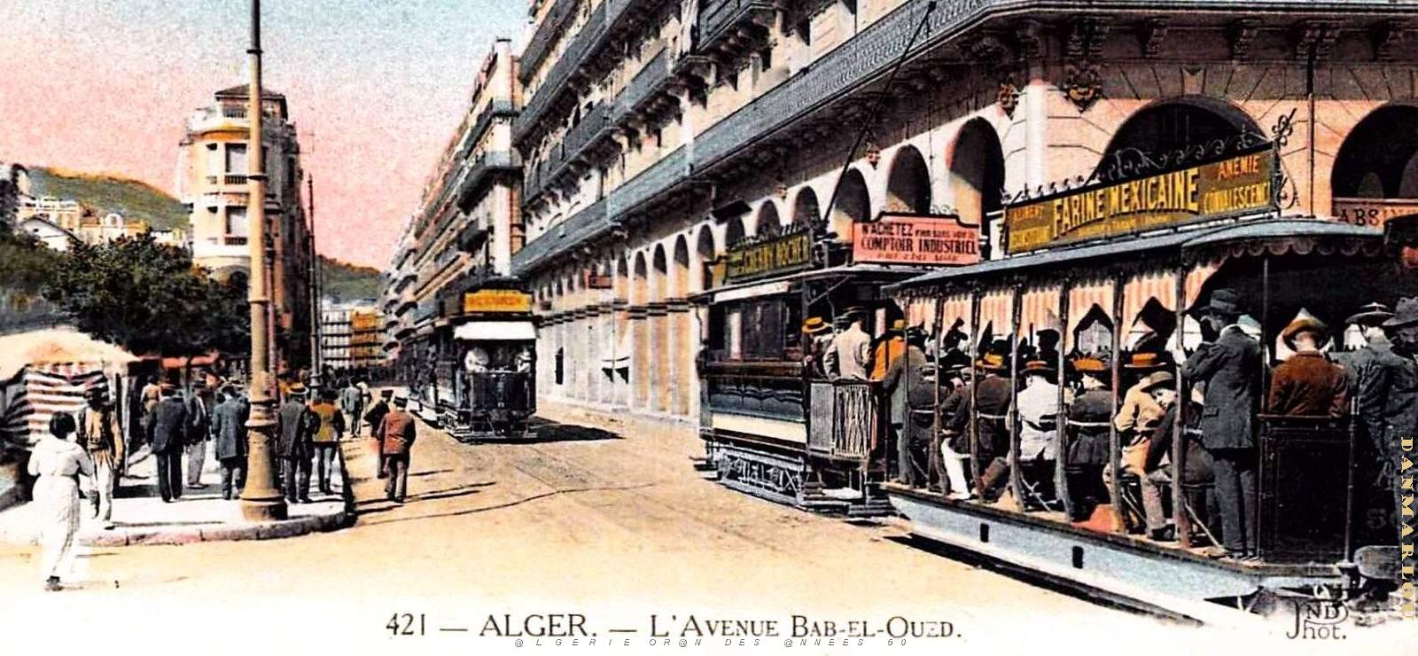 2921- Alger - Avenue de Bab-El-Oued2 - 1907.jpg